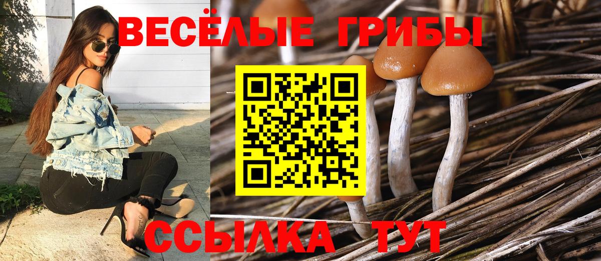 Галлюциногенные грибы прущие грибы Дубна