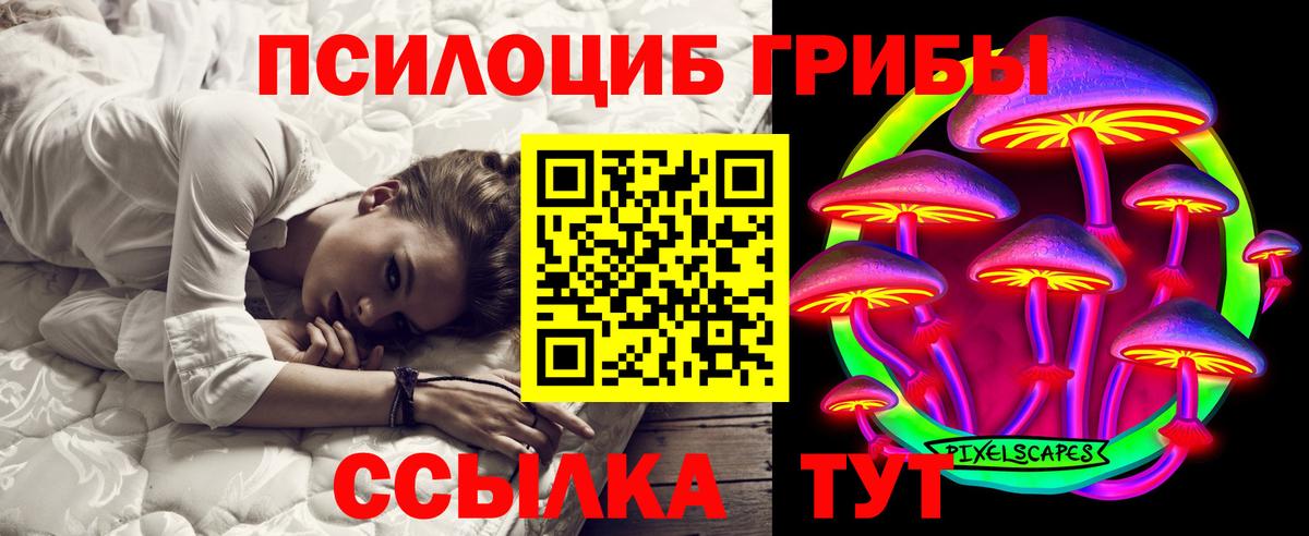 Дубна  Псилоцибиновые грибы Psilocybe  Галлюциногенные грибы мицелий  Вход с VPN 